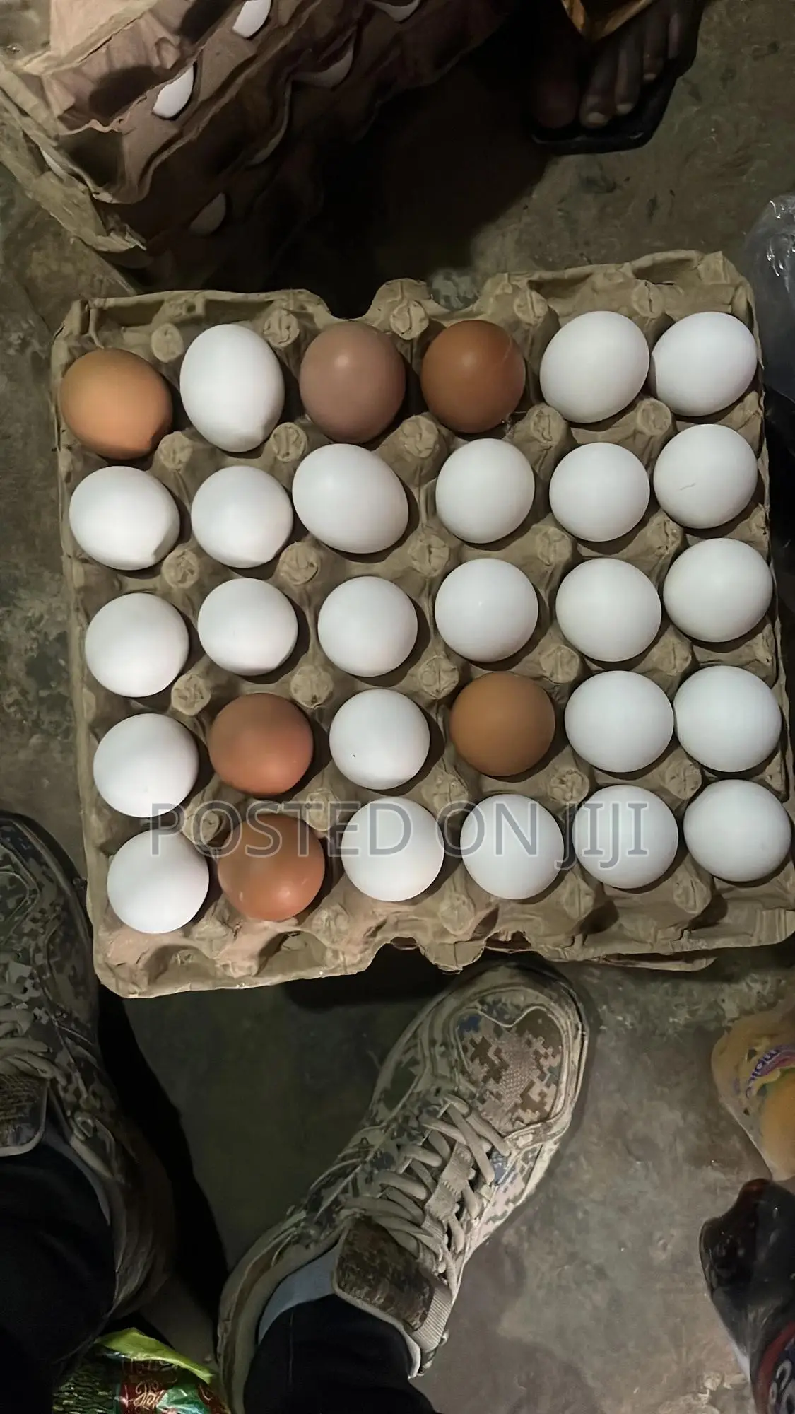 Chicken Eggs