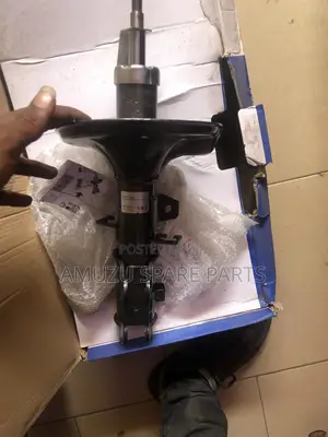 Kia Spectra 5 Front Shocks