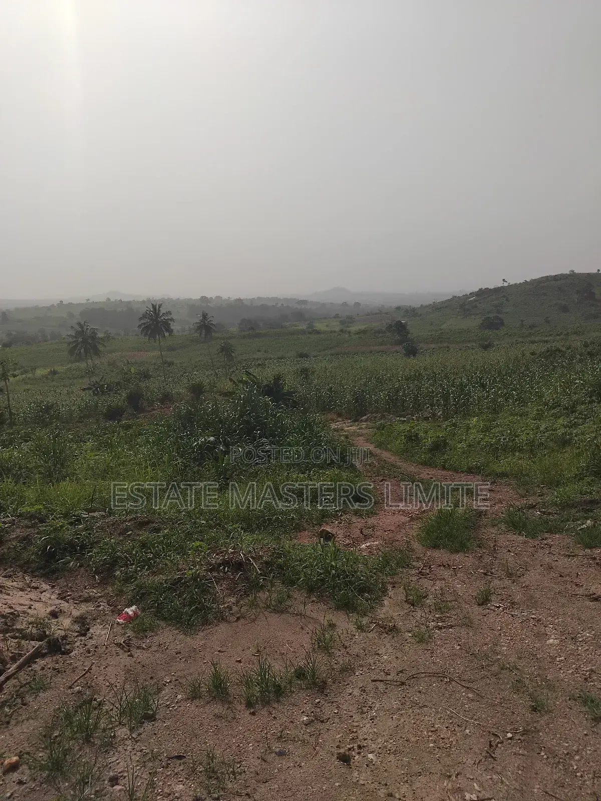 Environmental Friendly Lands for Sale at Dominase