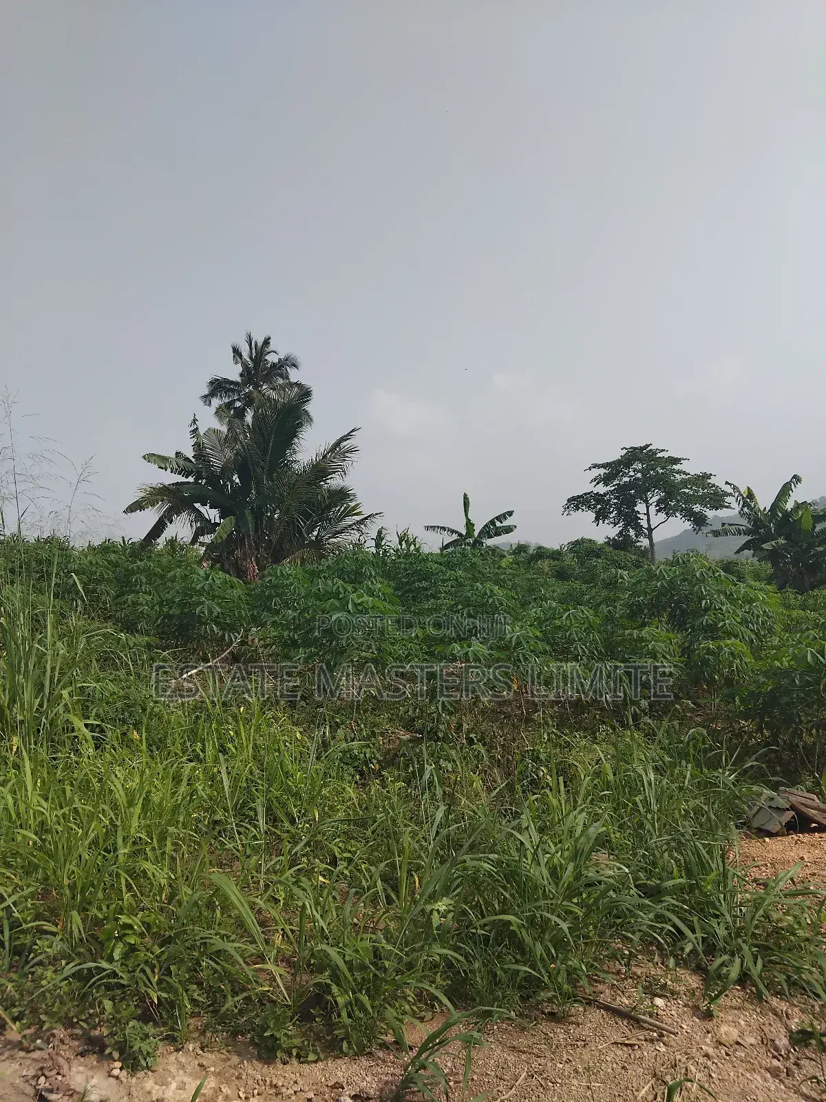 Meet Your Life Needs Buy a Litigation Free Land