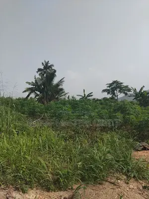 Meet Your Life Needs Buy a Litigation Free Land
