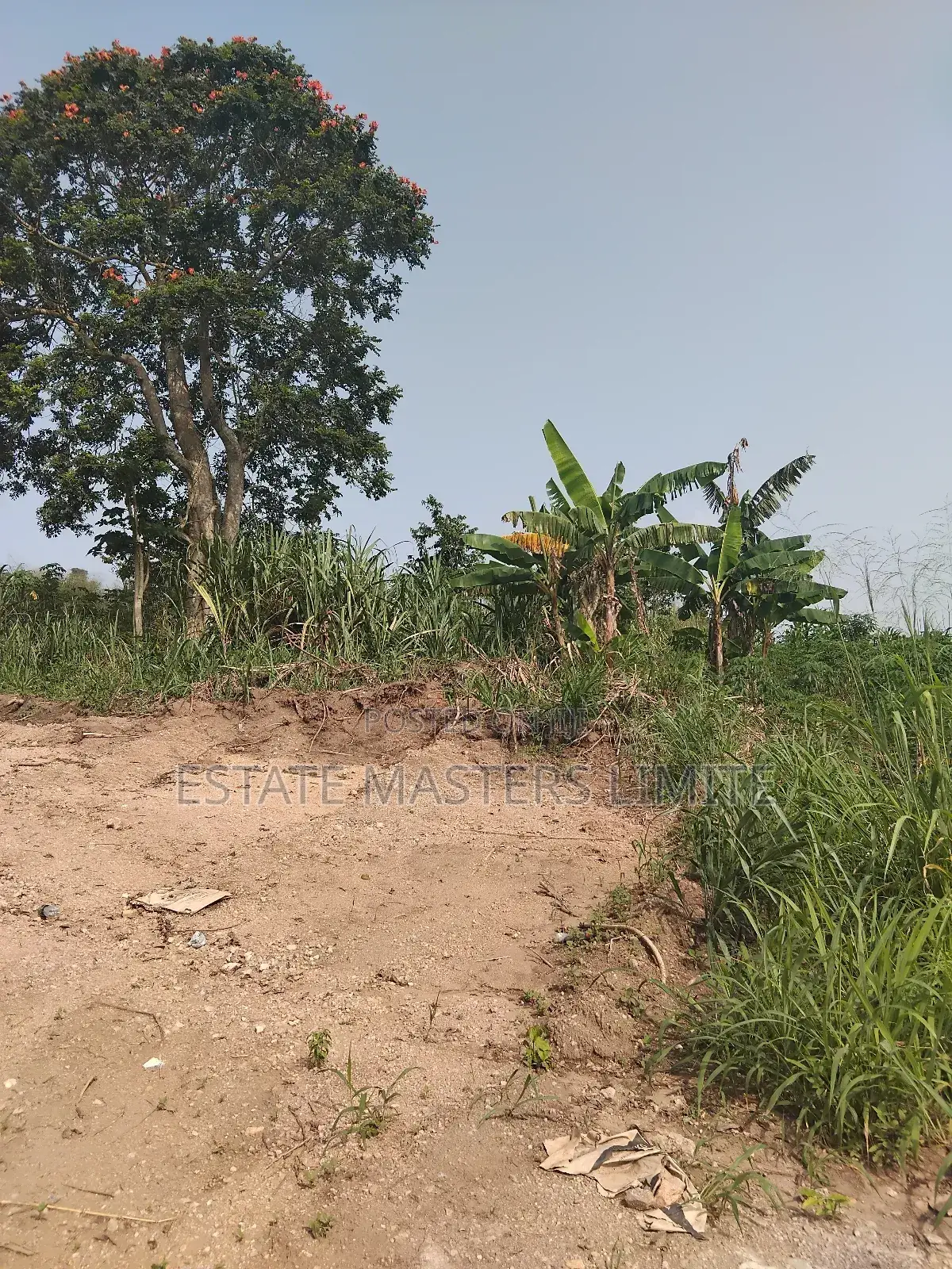 Meet Your Life Needs Buy a Litigation Free Land