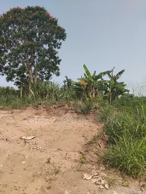 Meet Your Life Needs Buy a Litigation Free Land