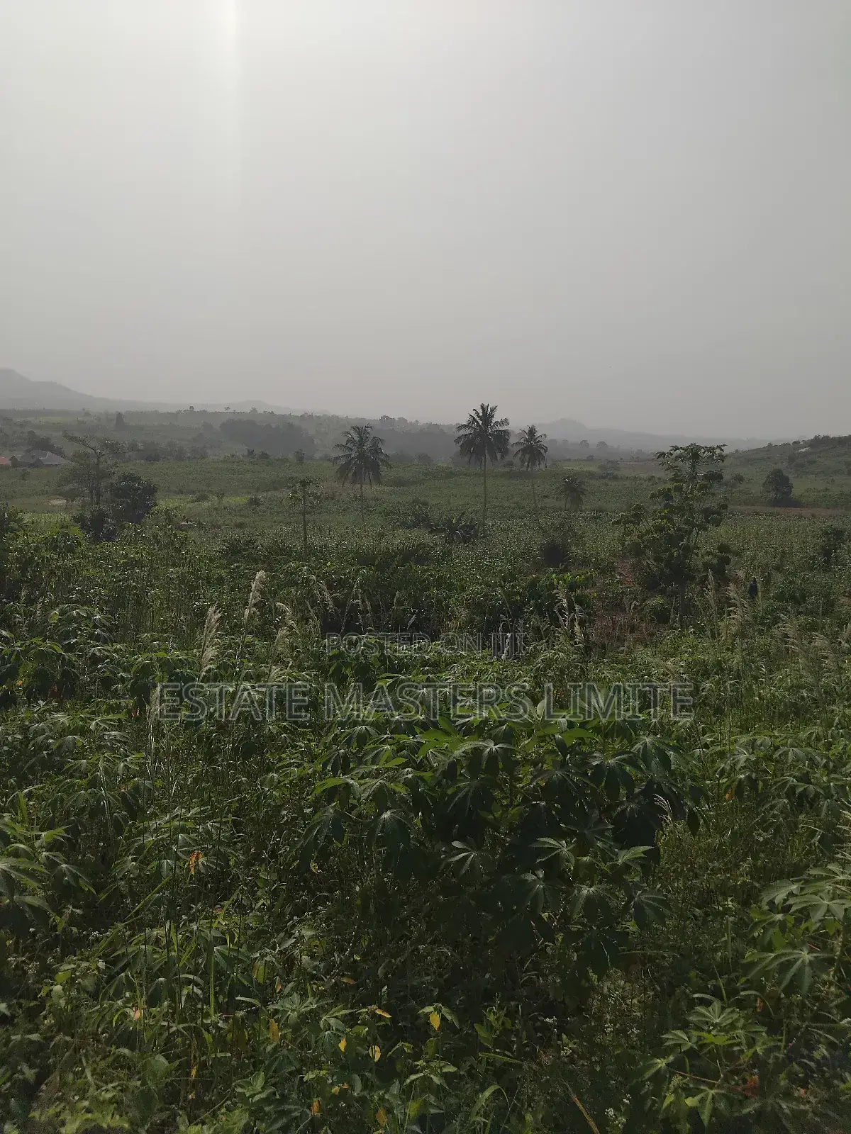 Buy a Land to Crown Your Success at Dominase