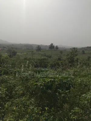 Buy a Land to Crown Your Success at Dominase