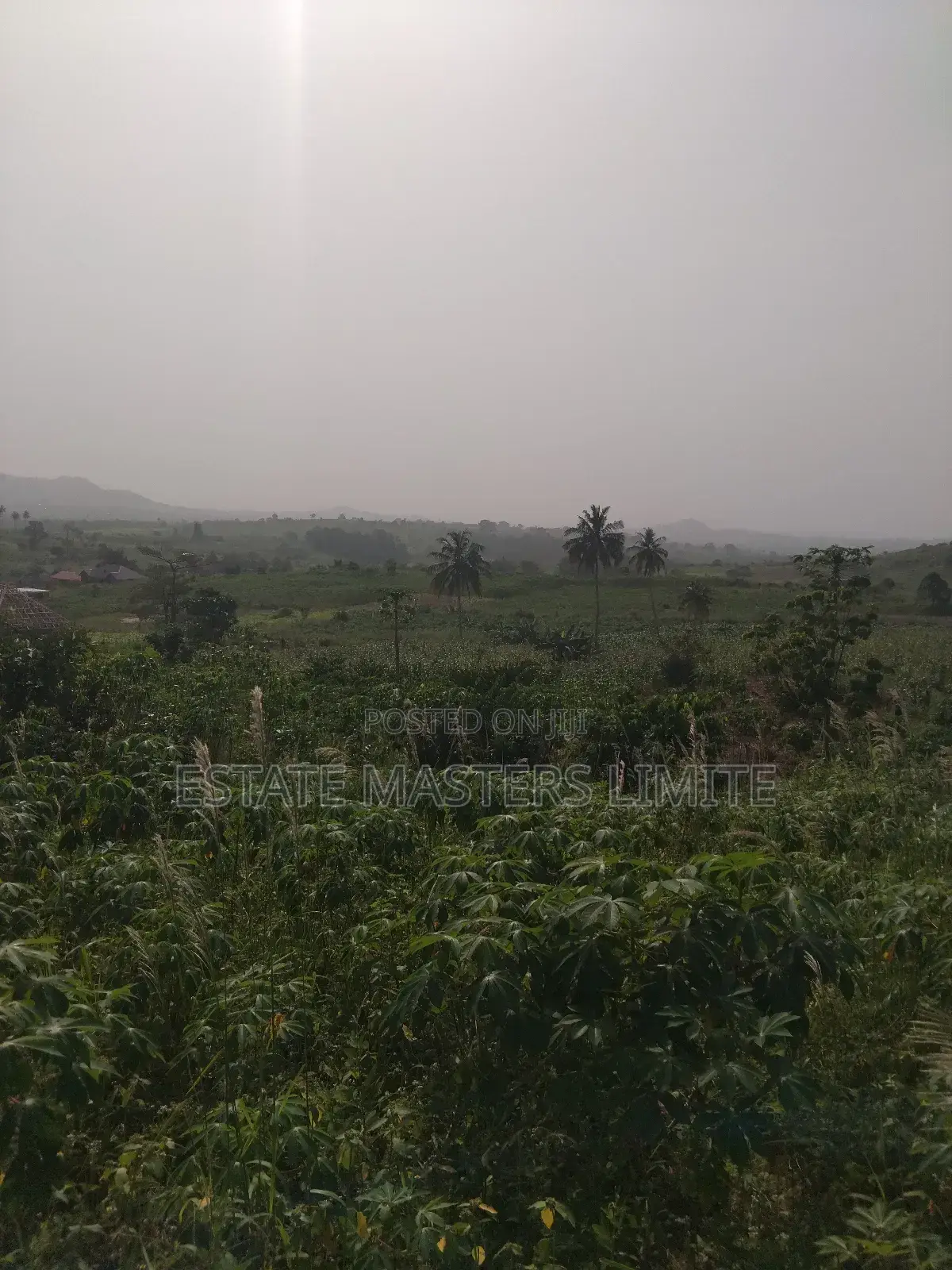 Buy a Land to Crown Your Success at Dominase