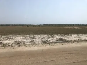 Well Planed Estate Land With Street for Sale