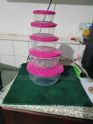 10 Set Of Fridge Storage Bowls