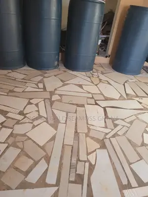 Big Barrels
