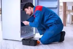 American Fridge Doctor 24/7 Srvice .
