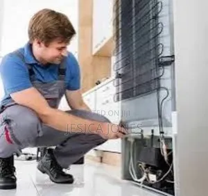 AMERICAN Fridge Repair Expert.