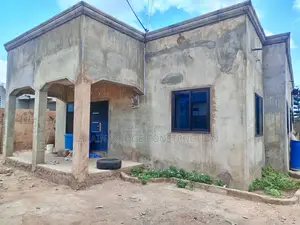 Professional Building Contractor