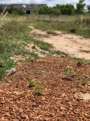 Serene Environment Estate Lands on Sale Afienya