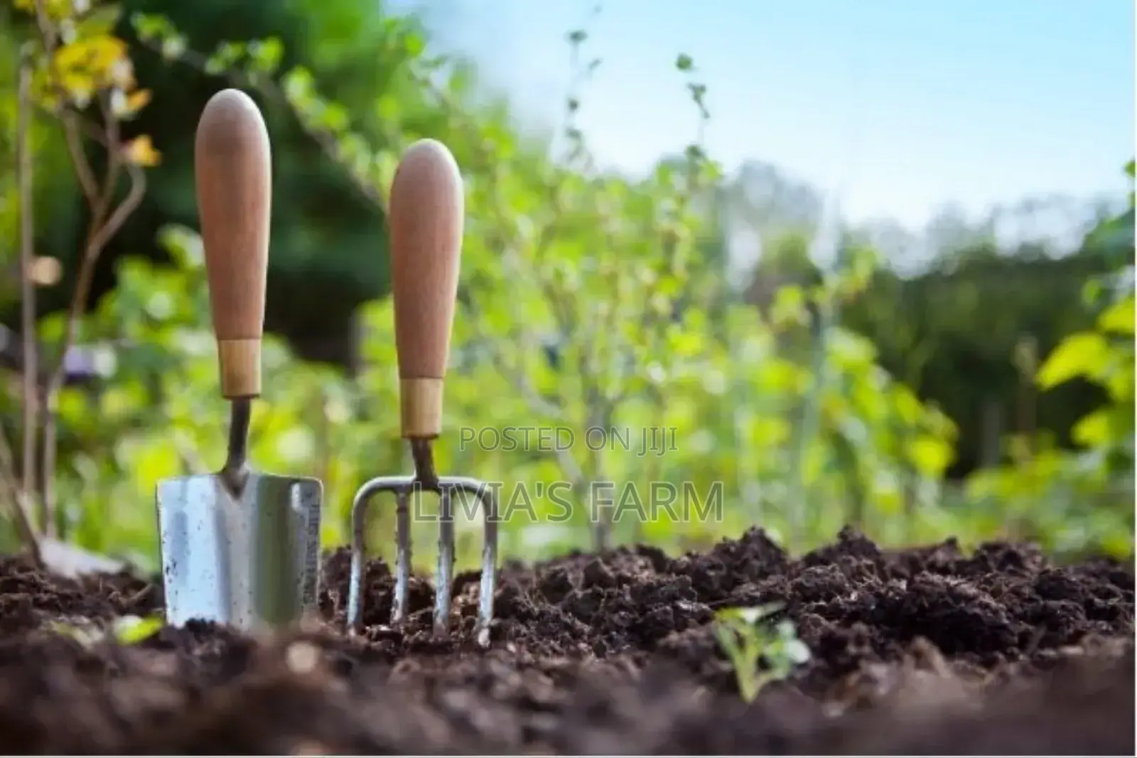 Garden Setup