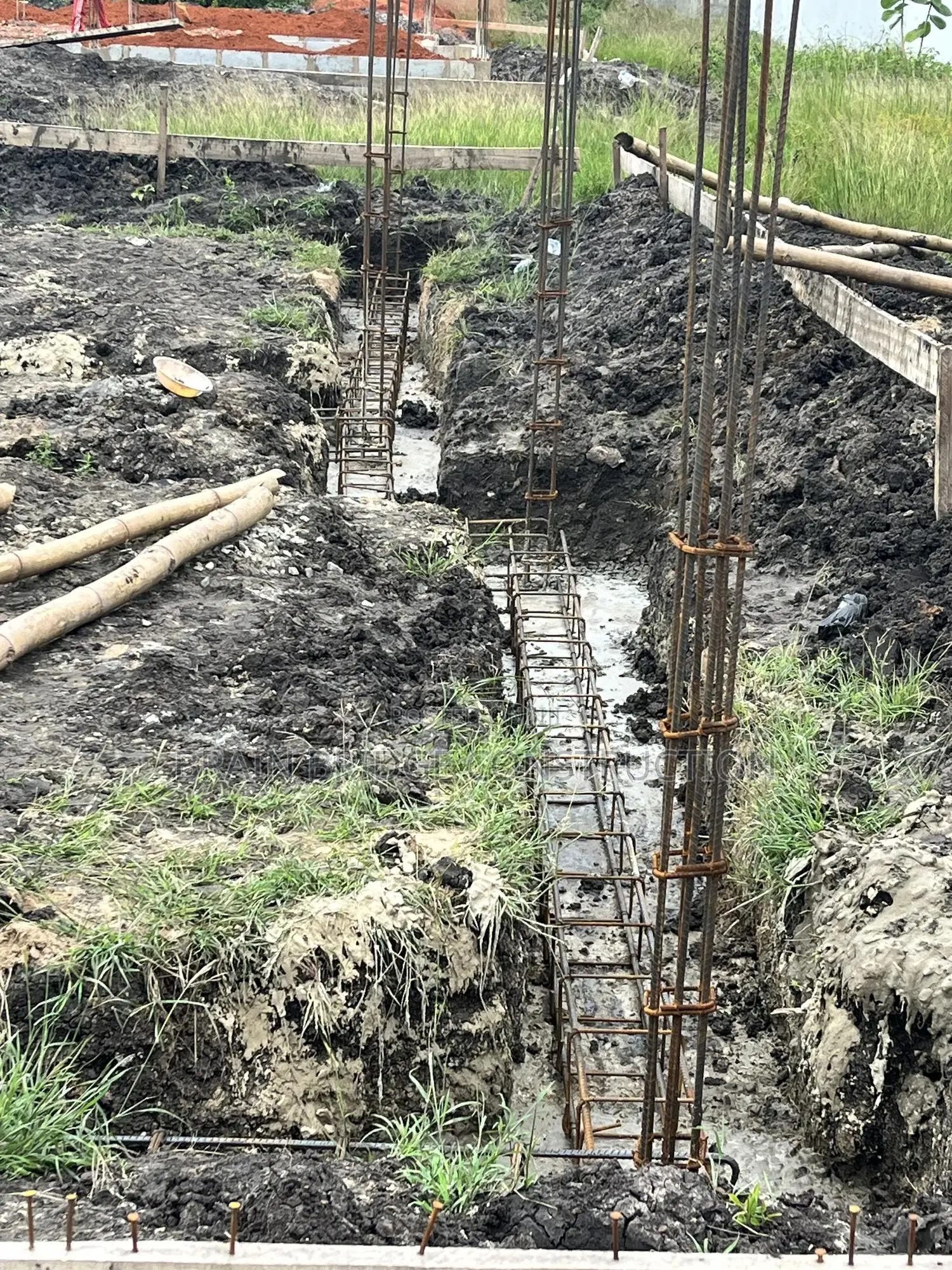 Professional Building Contractor