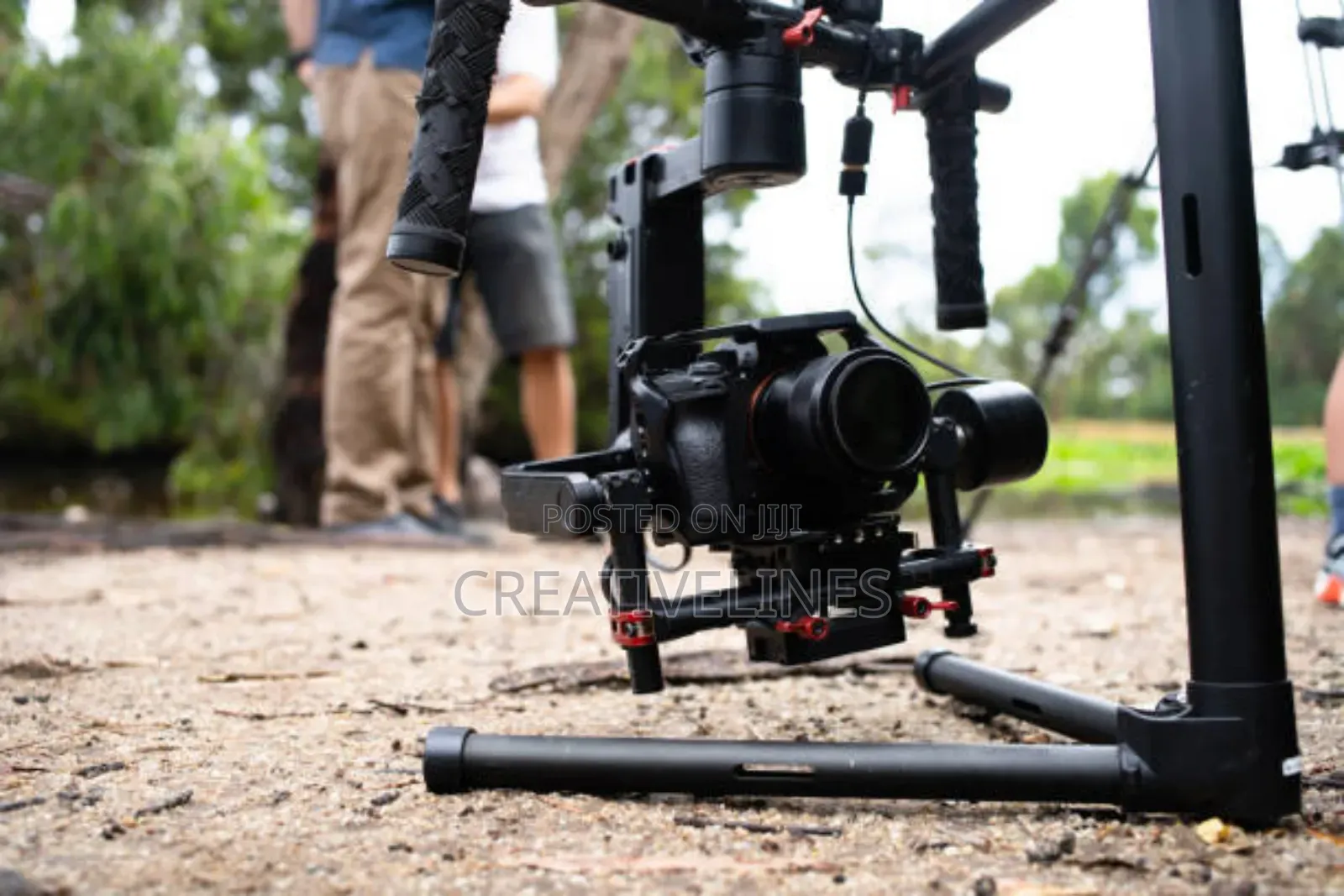 Professional Reels