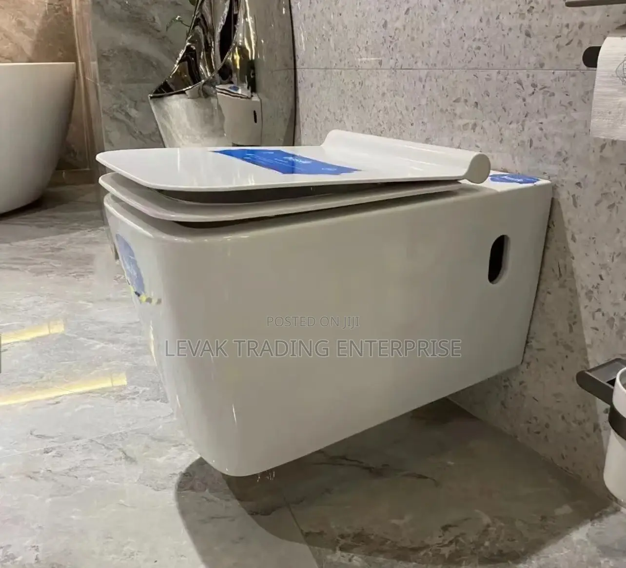 Concealed Watercloset_ Wall Mounted Wc