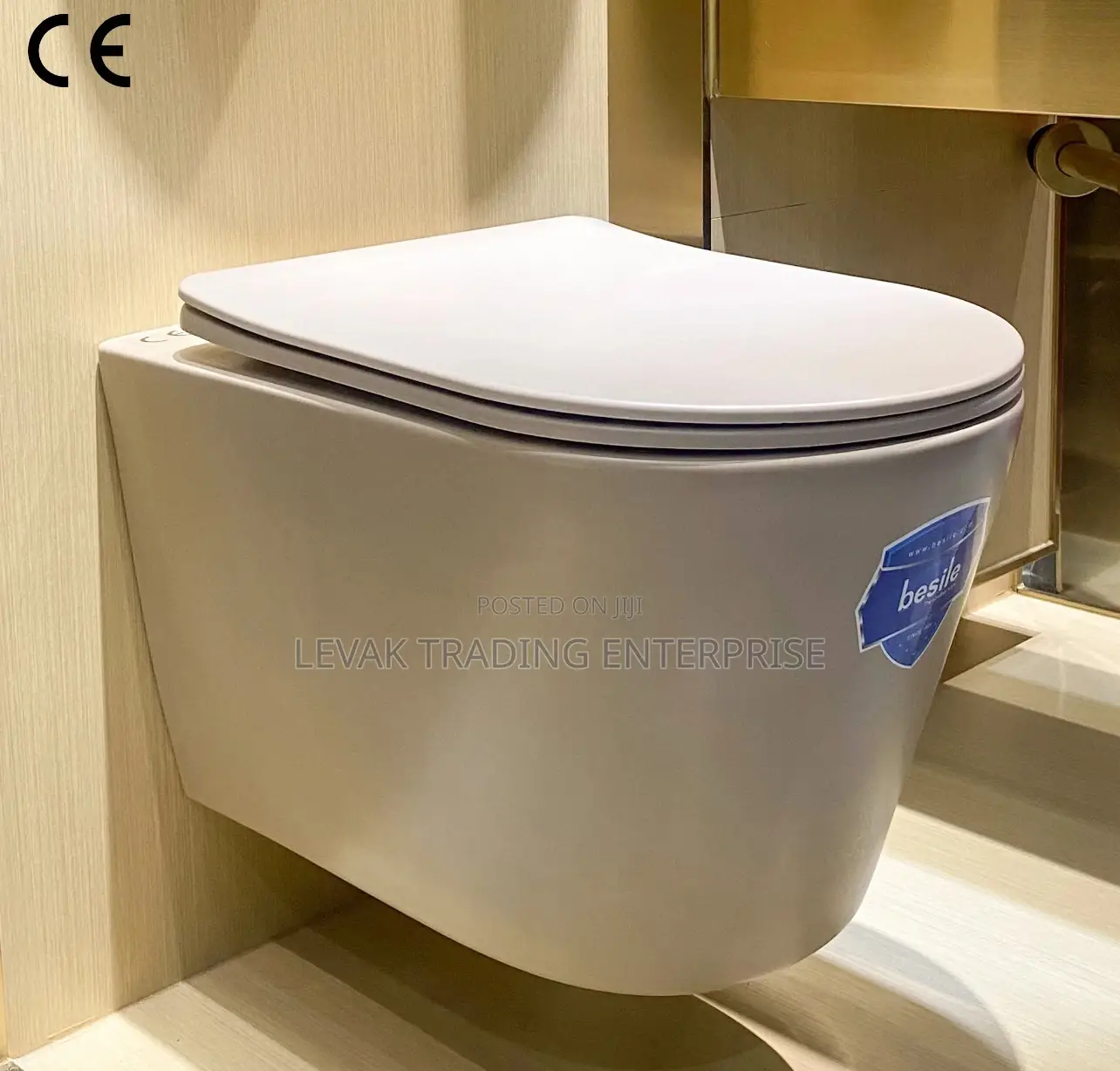 Concealed Watercloset_ Wall Mounted Wc