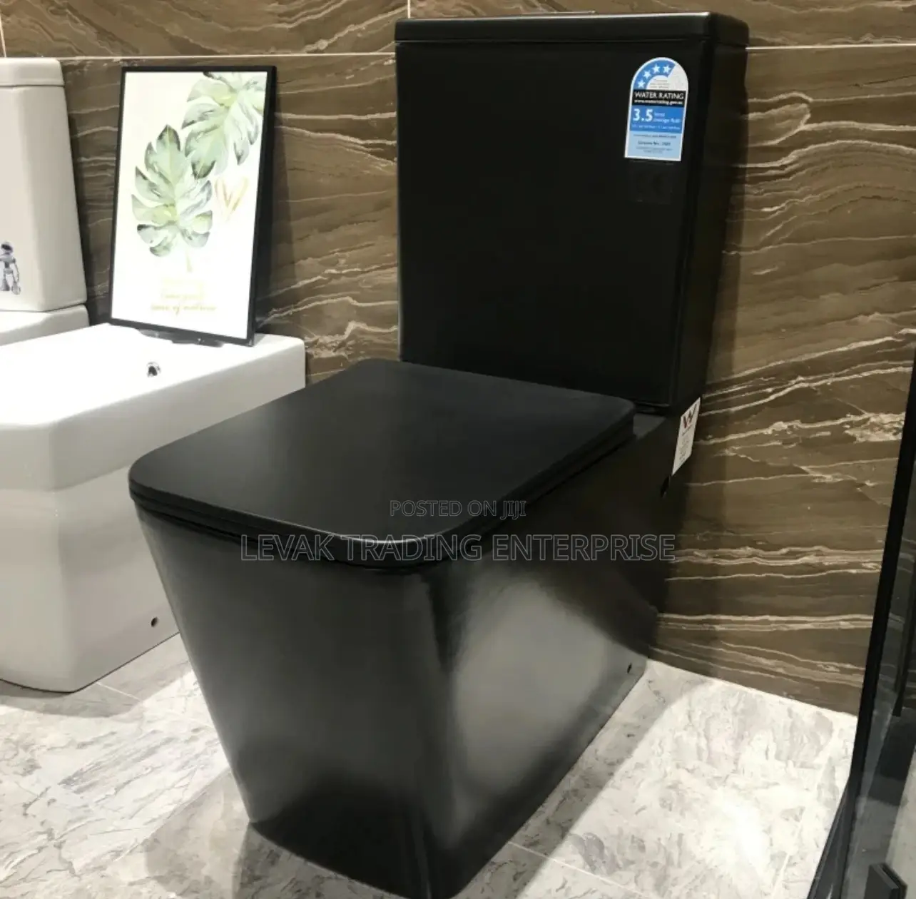 Black Concealed Wall Hung Watercloset