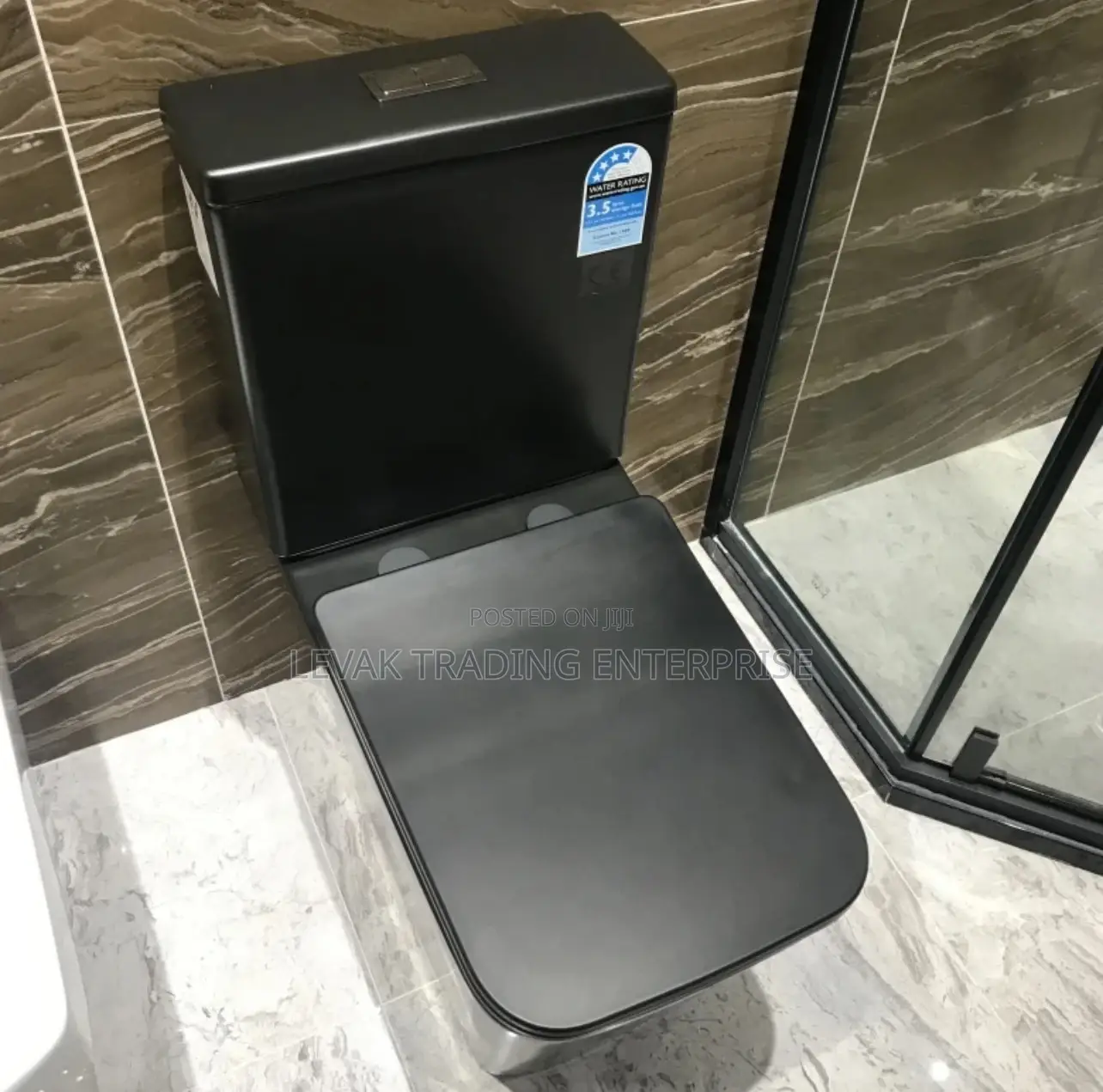 Black Concealed Wall Hung Watercloset