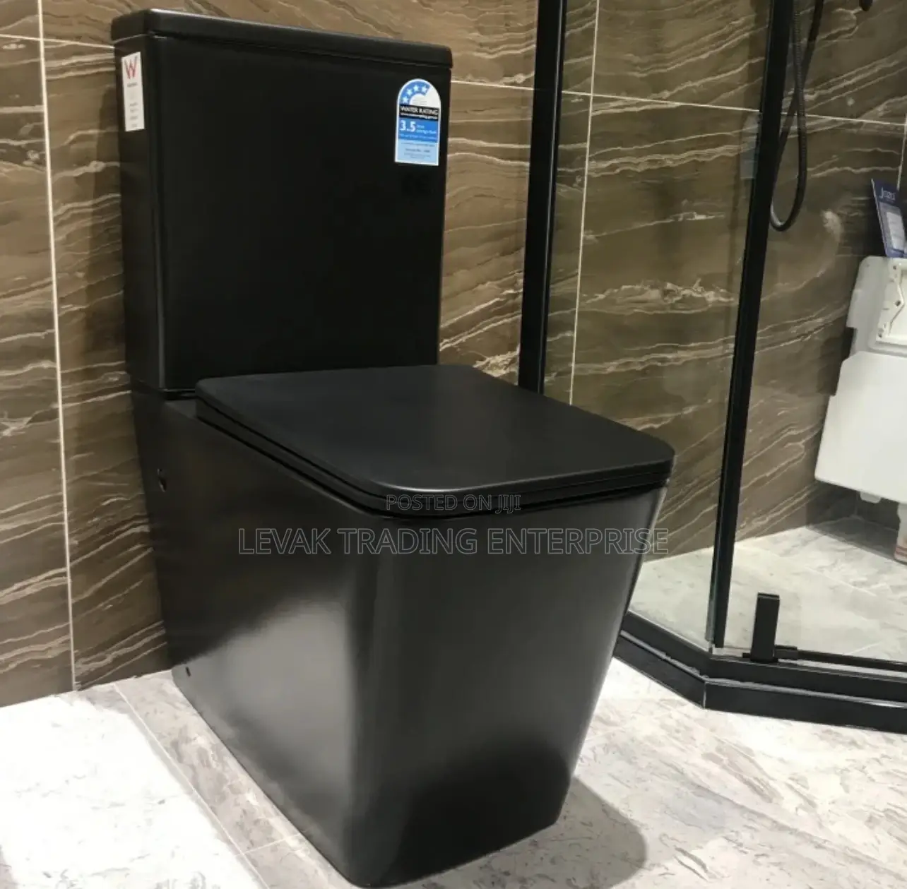 Black Concealed Wall Hung Watercloset
