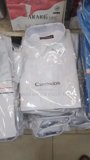 Cerrbelos Ladies Office Shirts