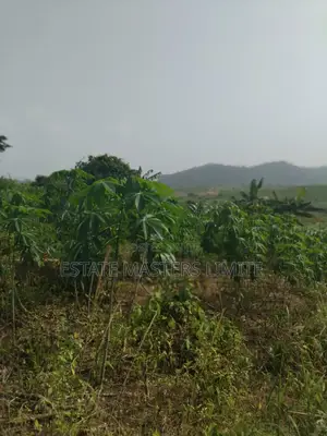 Buy a Big Land and Well Demacated at Dominase