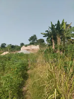 Serene Environment Plots of Land for Sale at Dominase