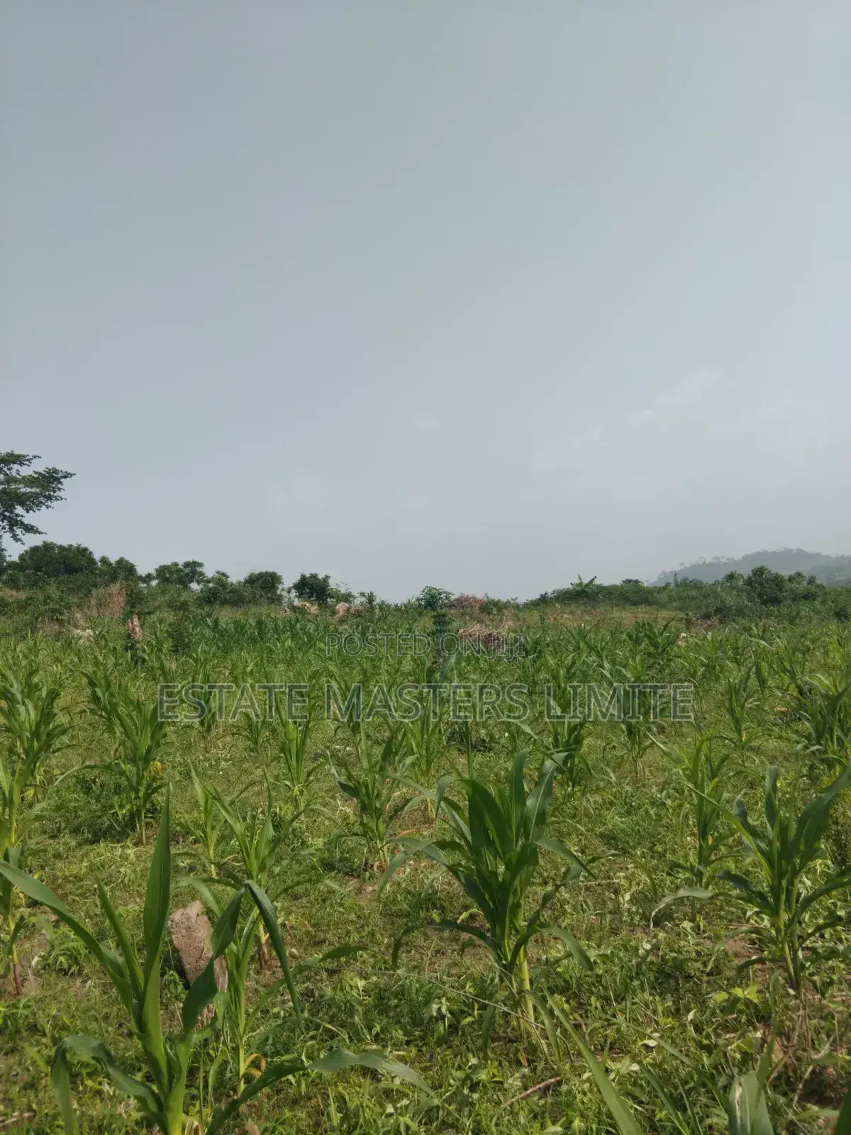 Land Is a Basic Need Buy a Plots of Land at Dominase
