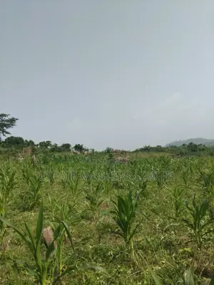 Land Is a Basic Need Buy a Plots of Land at Dominase