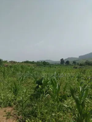 Land Is a Basic Need Buy a Plots of Land at Dominase