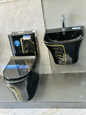 One Piece Water Closet_ Black and Gold Wc and Hanging Basin