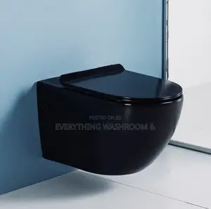 Concealed WC Black Color_ Wall Hung Water Closet