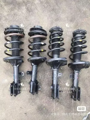 Hyundai Tucson/Sportsge/Santafe 05-09 Front Shocks