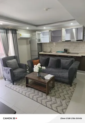 Furnished 1bdrm Apartment in Seekers Realty., Osu for rent