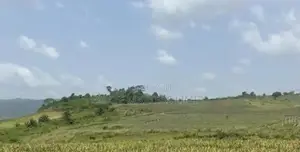 Verified and Certified Plots of Land for Sale at Dominase