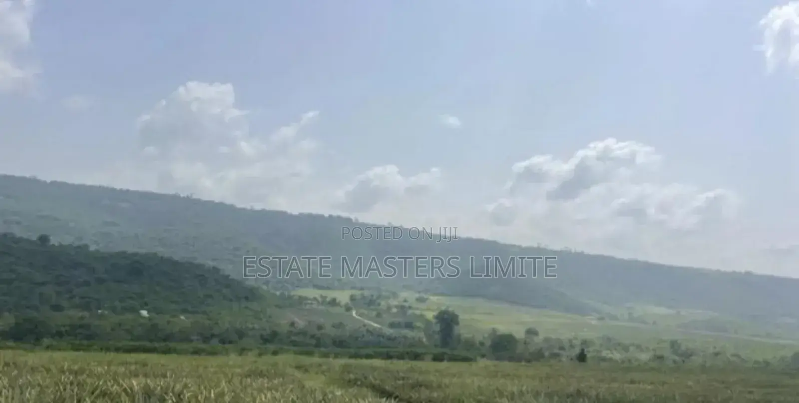 Buy a Plots of Lands at Dominase With Free Documentation