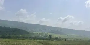 Buy a Plots of Lands at Dominase With Free Documentation