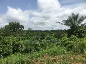 Farm Land for Sale at Ejisu Kotie One Acre Going