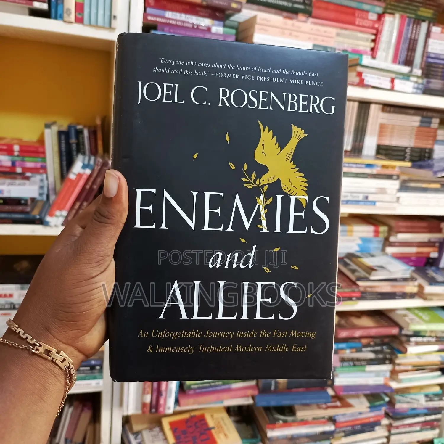Enemies and Allies