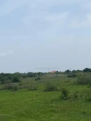New Horizon Lands for Sale at Afienya