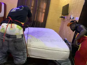 Cleaning of Mattress