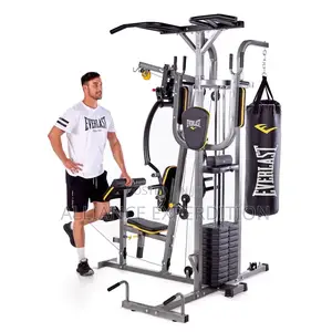 EVERLAST All in 1 Gym Station From UK
