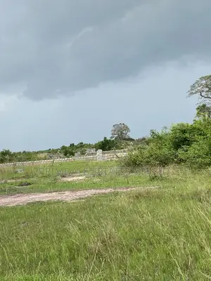 Titled Estate Well Demarcated Plots Afienya on Sale