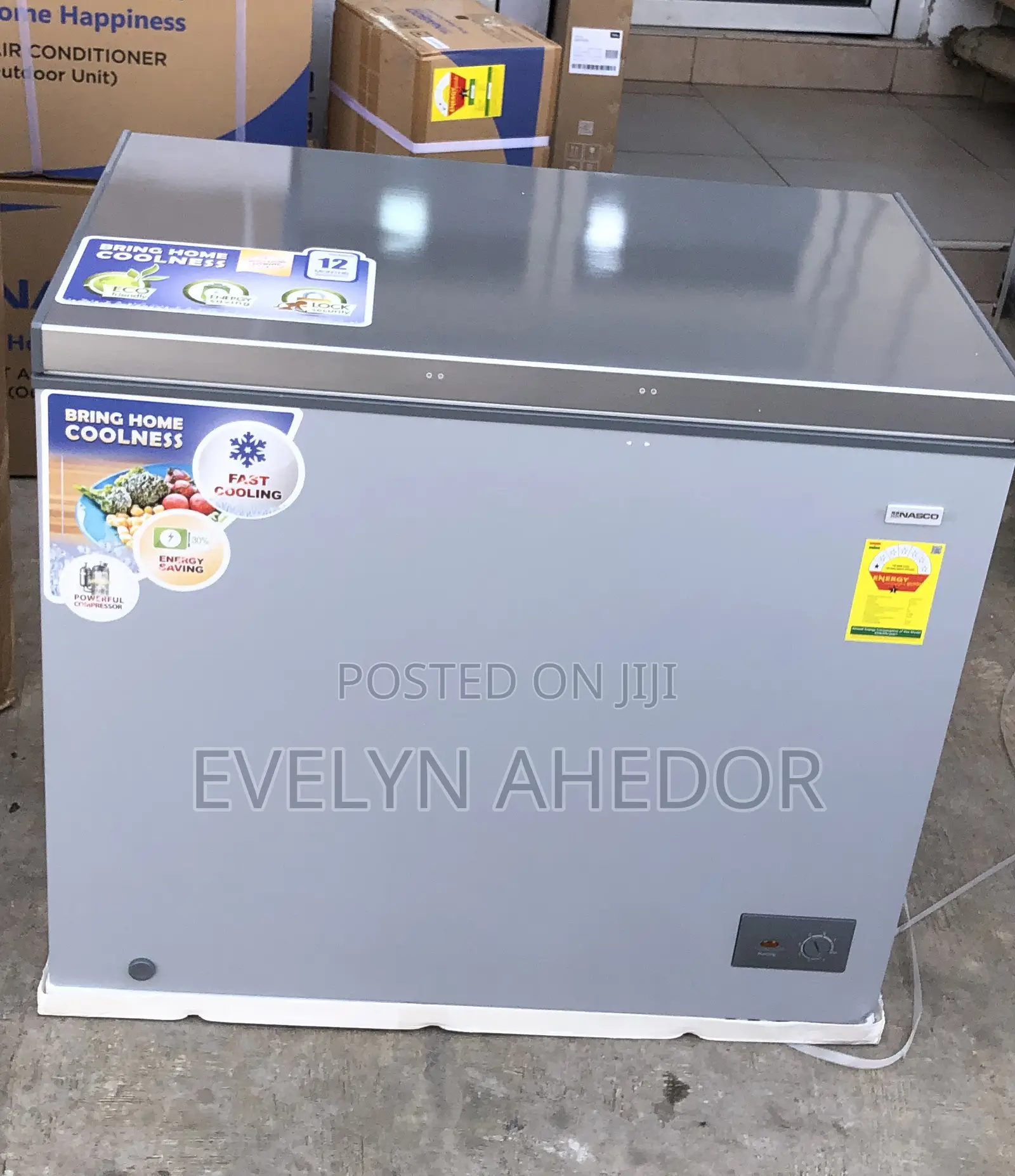 Affordable Nasco Chest Freezer 251 Liters