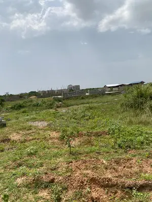 Afienya-(No Litigation) Estate Half Plots