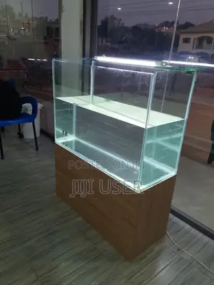Catfish Display Glass Tanks