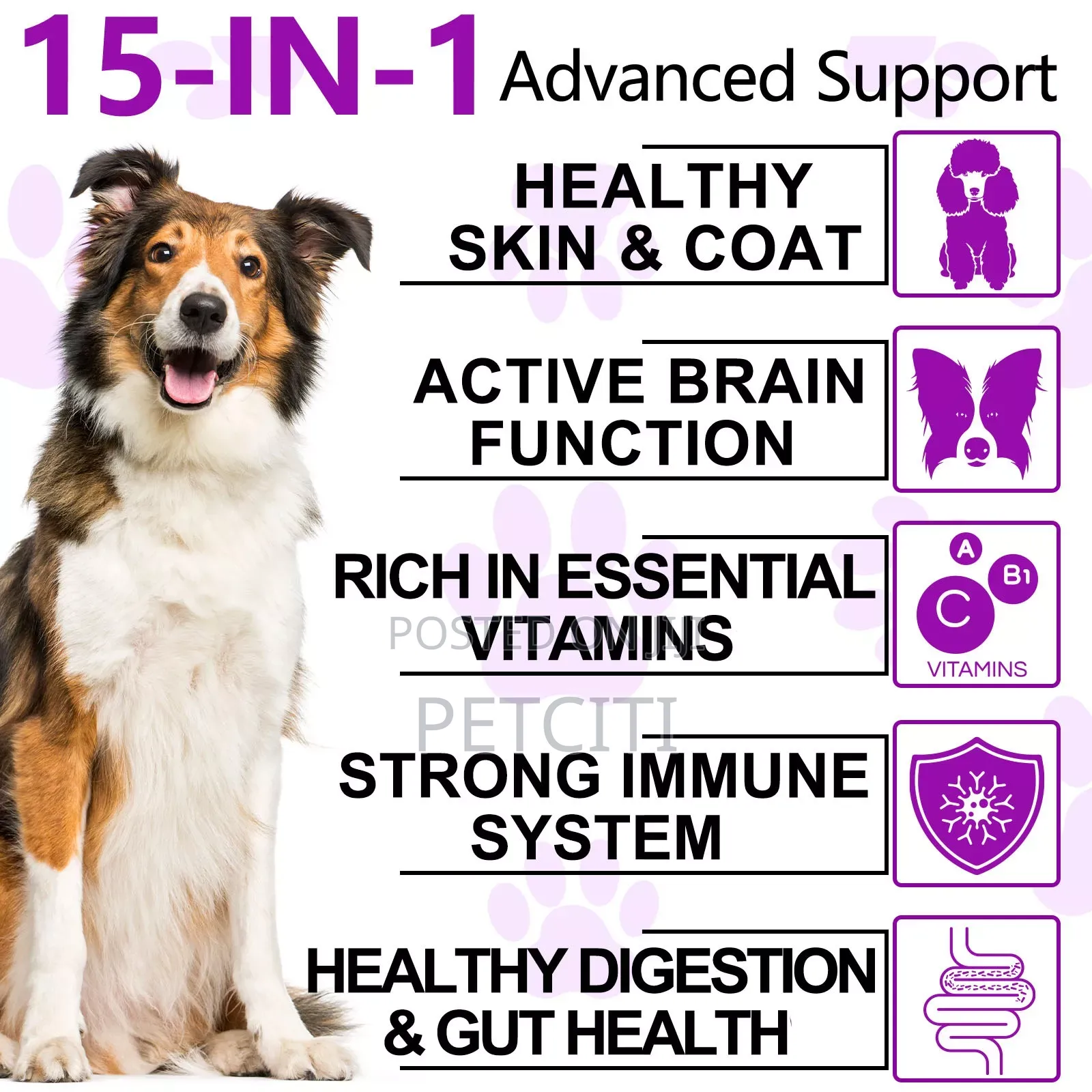 Pet Multivitamin 15in1