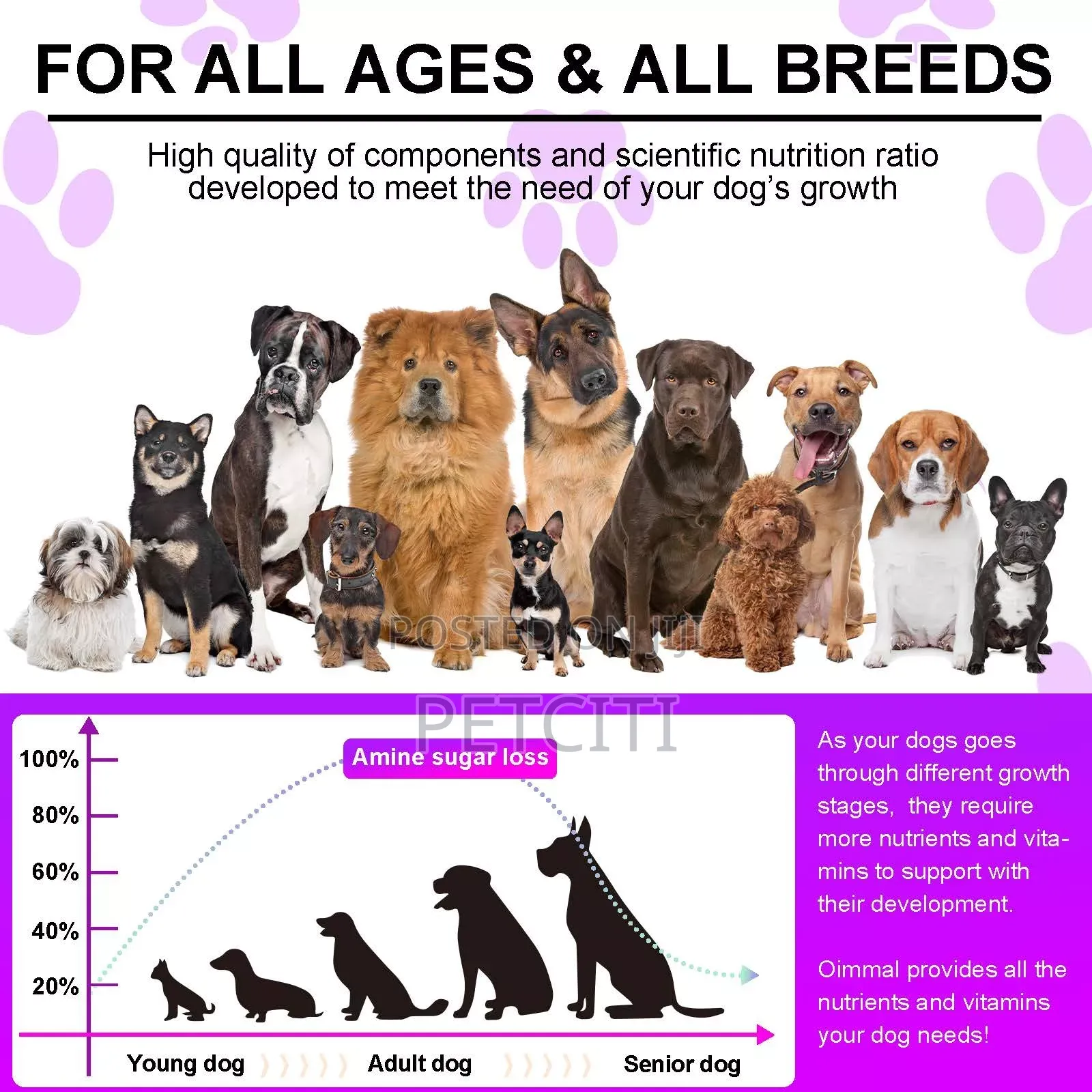 Pet Multivitamin 15in1