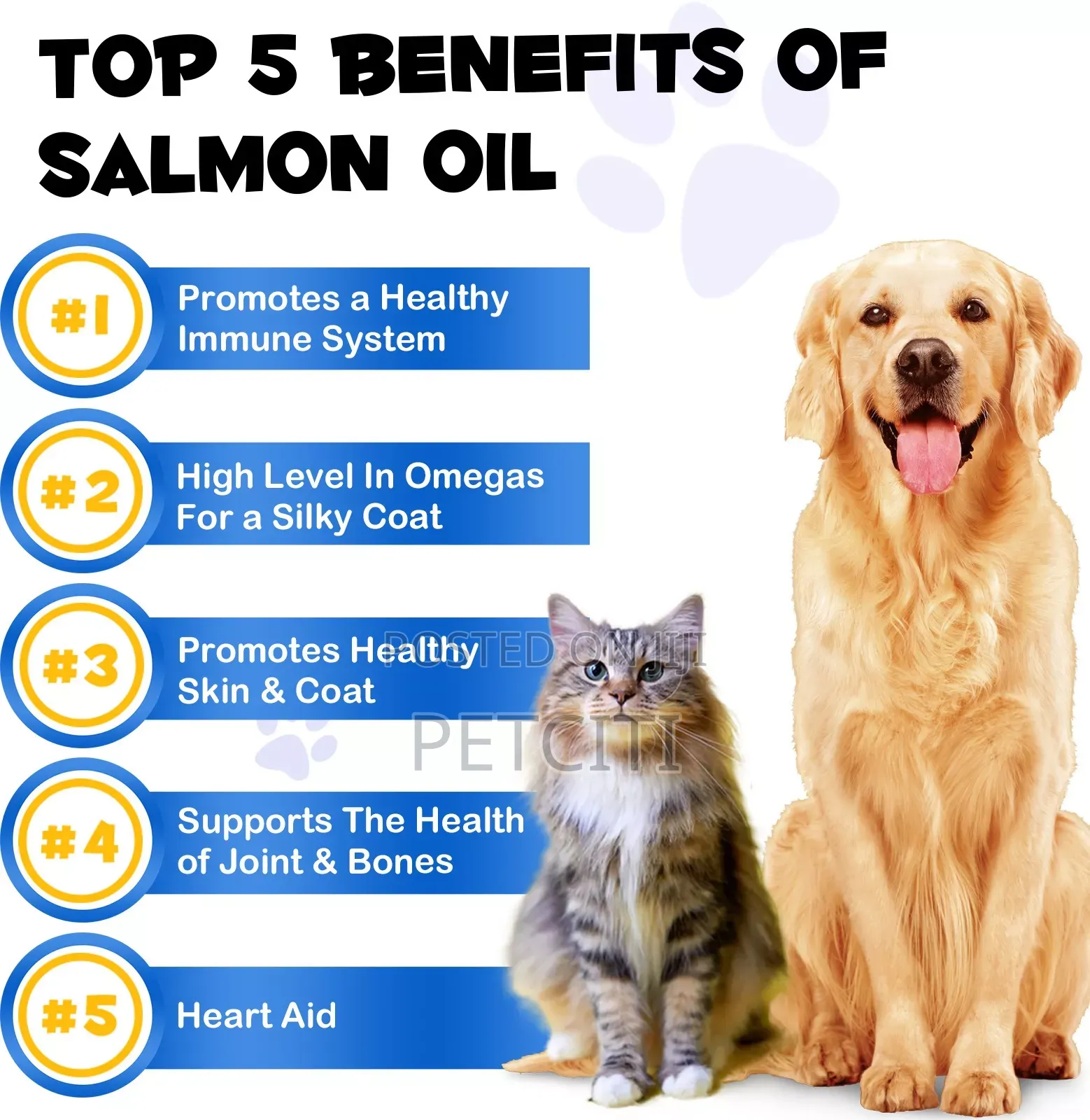 Wild Alaskan Salmon Oil